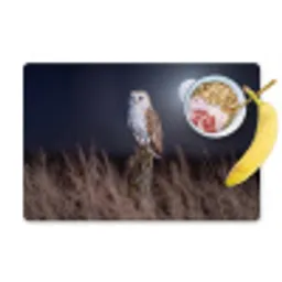 Kerkuil - Maan - Nacht Placemat vinyl groot -zzzproduct_Kitchenyeah-website
