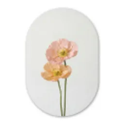 Papavers - Botanisch - Roze Wandcirkel Ovaal Aluminium middel -3d