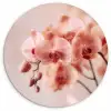 Orchidee - Bloemen - Roze - Bloemblaadjes Wandcirkel kunststof plaat 5mm dik klein -3d