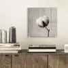 Katoenbol - Minimalistisch - Wit plexiglas 5mm klein -sfeer1
