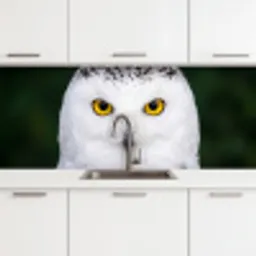 Sneeuwuil - Portret - Geel keuken achterwand 2 middel -3d