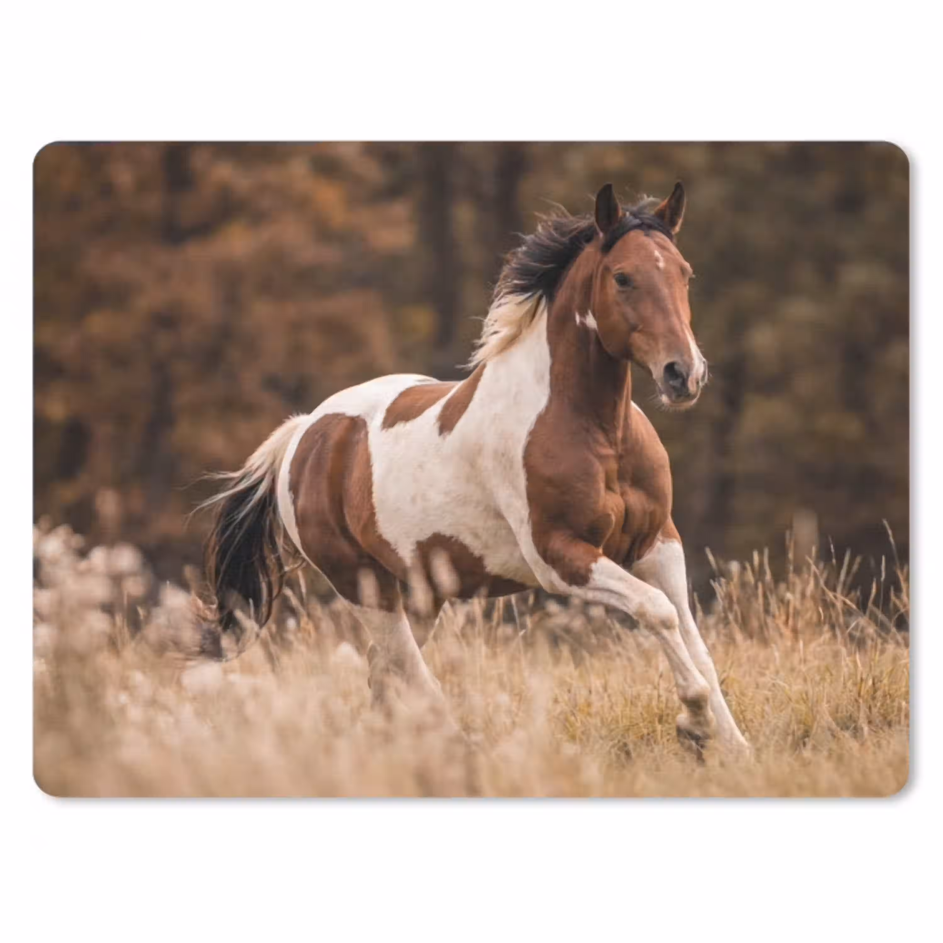 Paard - Bruin - Gras muismat rubber klein -3d