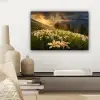 Bloemenveld - Heuvels - Zonsondergang - Berg - Natuur - Wit - Heuvels canvas 2cm klein -sfeer6
