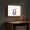 Tovenaar - Magie - Paars Light Box met batterij (Wandlamp kind) middel -sfeer5_kind