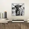 Schotse hooglander - Natuur - Koe - Zwart - Wit plexiglas 5mm klein -sfeer1