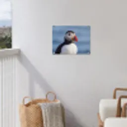 Papegaaiduiker - Portret - Natuur tuinposter los doek klein -sfeer8