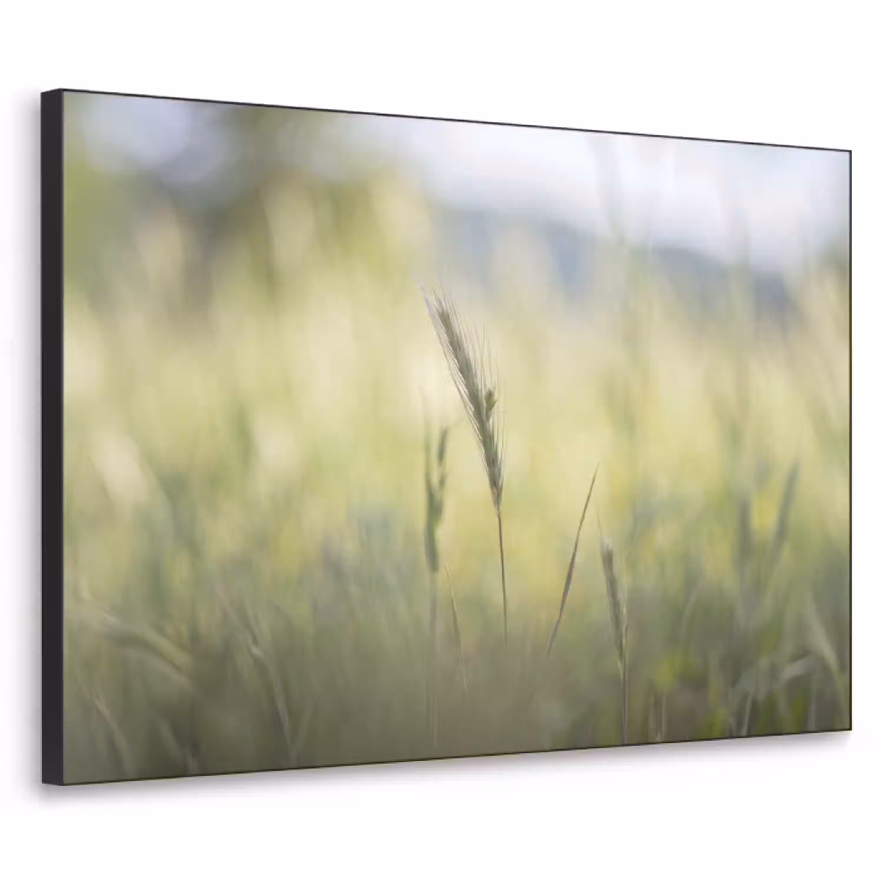 Graan - Aar - Natuur - Groen - Detail Textielframe zwart klein -3d