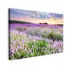 Bloemen - Lavendel - Paars - Lucht - Zonsondergang - Weide - Natuur Tuinposter op houten frame 2 cm dik klein -3d