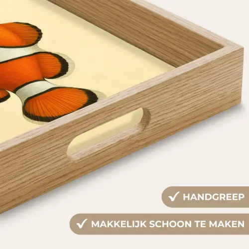 Vis - Oranje - Strepen Dienblad Rechthoek middel -USP_HandgreepNL