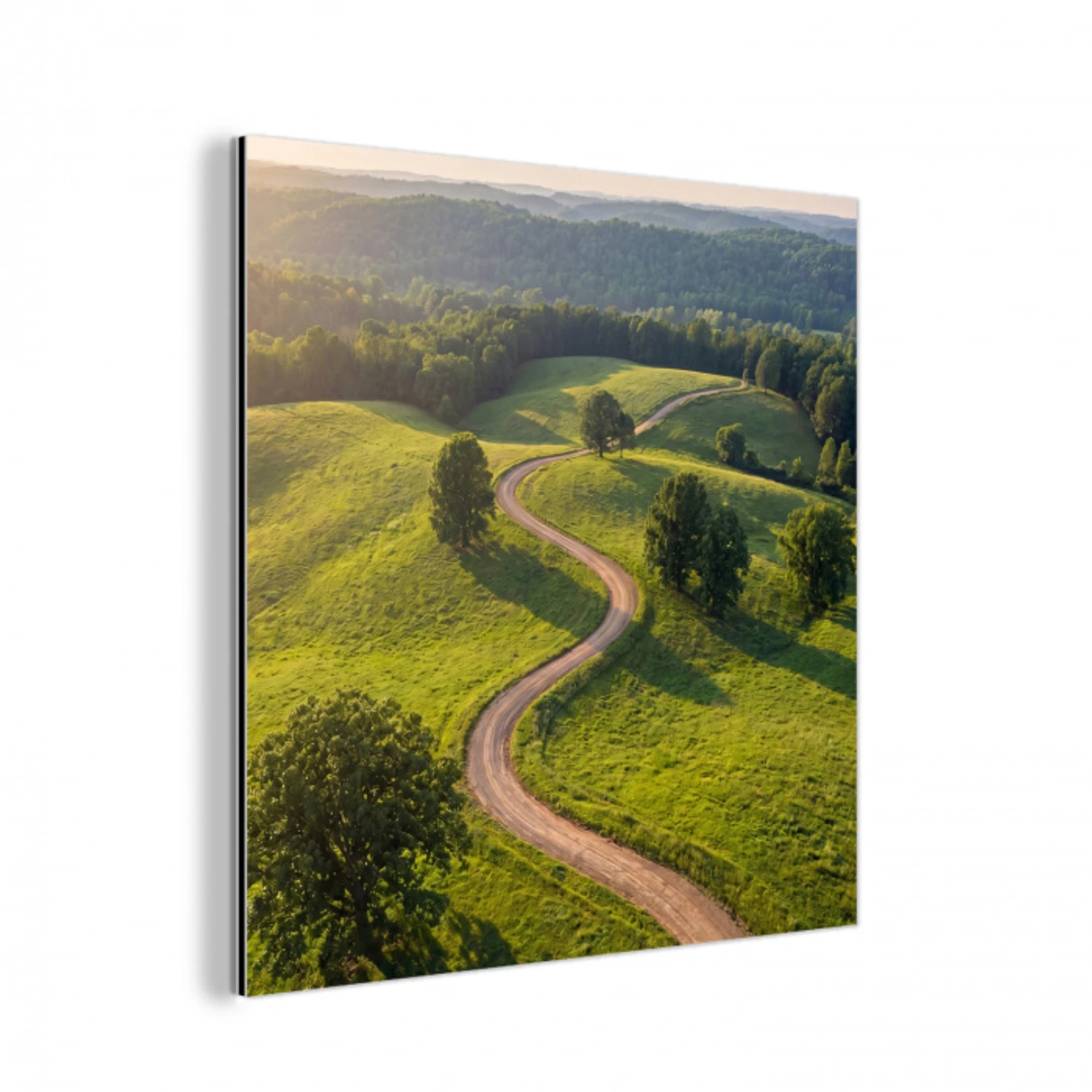Weg - Weide - Natuur - Groen aluminium wit klein -3d