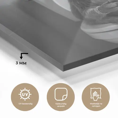 Geit - Telefoon - Toilet - Zwart - Wit plexiglas 5mm klein -sfeer2