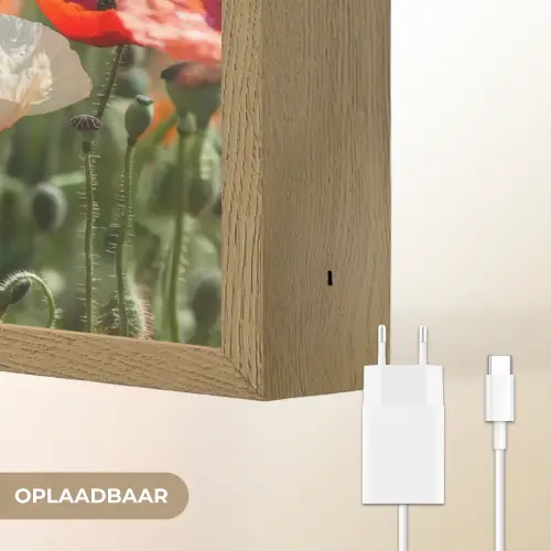 Bloemenveld - Klaprozen - Kleurrijk Light Box met batterij (Wandlamp) middel -USP_websiteoplaadbaarNL