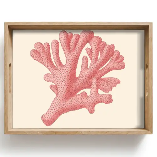 Koraal - Stipjes - Roze Dienblad Rechthoek middel -z3d_shopping