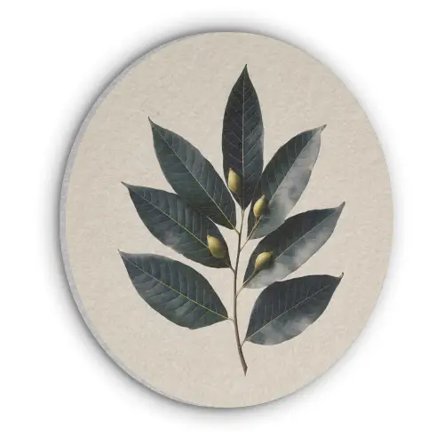 Laurierbladeren - Bloemknoppen - subtiel Akoestische PET Vilt - Rond klein -3d