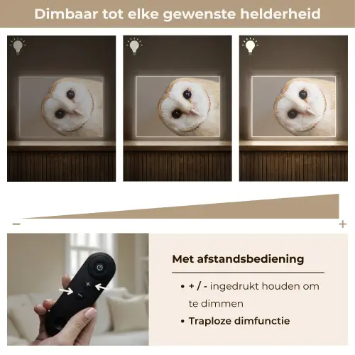 Uil - Bruin - Wit Light Box met batterij (Wandlamp) middel -USP_dimbaarNL
