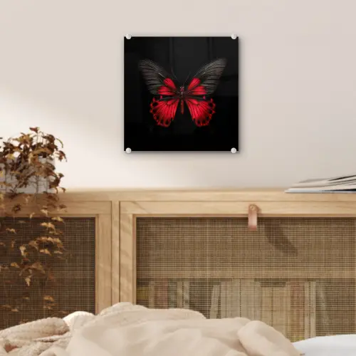 Vlinder - Rood - Contrast plexiglas 5mm klein -sfeer4