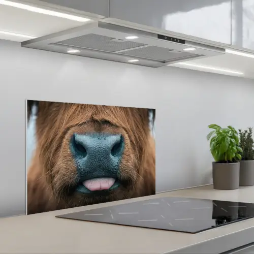 Schotse hooglander - Neus - Bruin keuken achterwand spatscherm klein -3d_schuin
