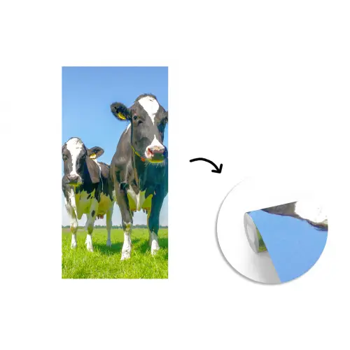 Koeien - Weiland - Gras - Dieren - Boerderij fotobehang vinyl groot -3d