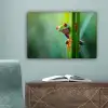 Groene kikker - Nieuwsgierig - Gras canvas 2cm klein -sfeer4