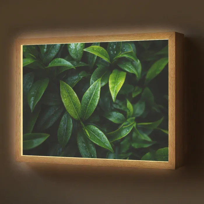 Bladeren - Regendruppels - Licht - Groen Light Box met batterij (Wandlamp) middel -z3d_website