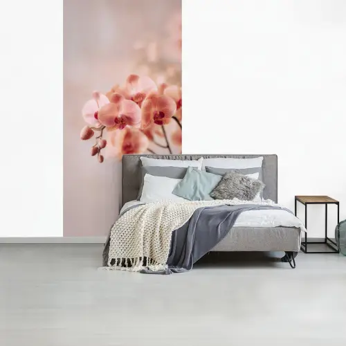 Orchidee - Bloemen - Roze - Bloemblaadjes fotobehang vinyl groot -slaapkamer