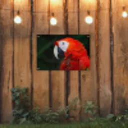 Dieren - Vogel - Papegaai tuinposter los doek klein -sfeer1