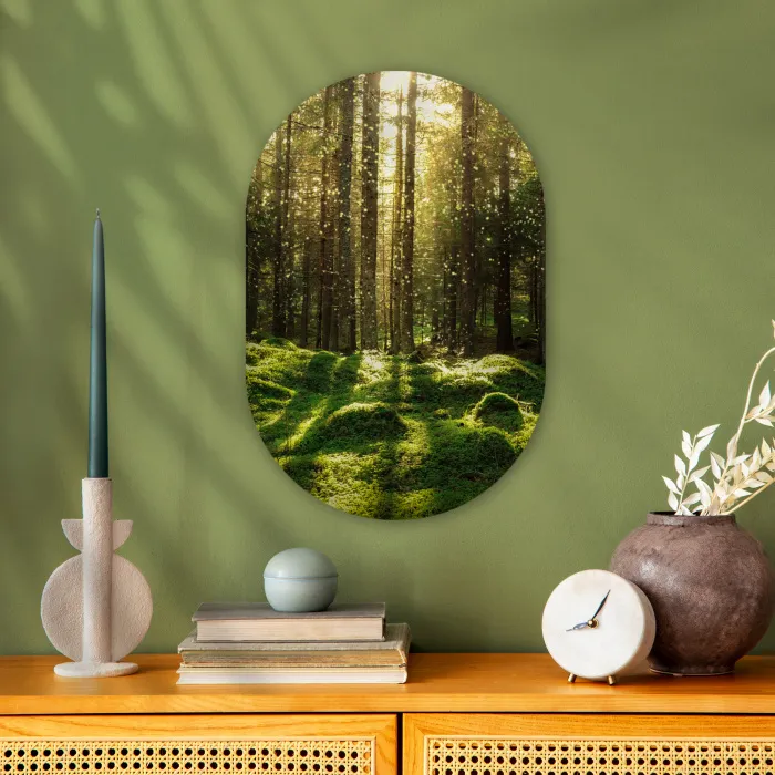 Bomen - Bos - Mos - Planten - Zon - Natuur Wandcirkel Ovaal Forex klein -sfeer2