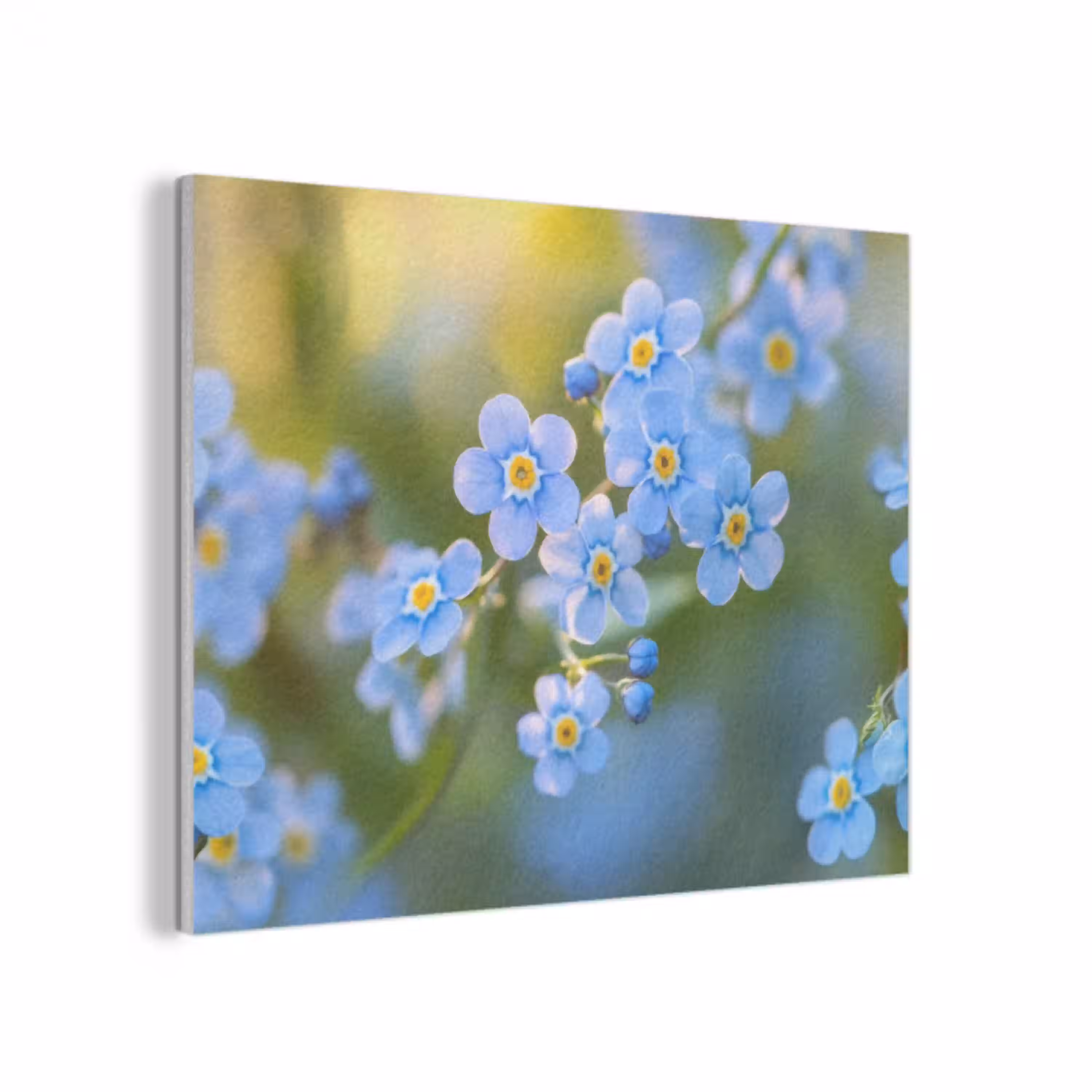 Bloemetjes - Blauw - Vergeet mij nietjes PET vilt klein -3d