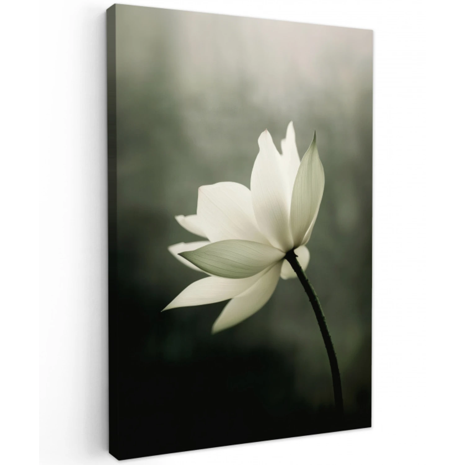 Wit - Lotus - Donker - Bloem Tuinposter op houten frame 2 cm dik klein -3d
