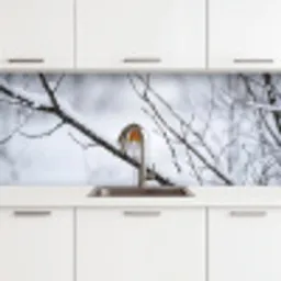 Roodborstje - Tak - Sneeuw - Winter - Levendig keuken achterwand 2 middel -3d