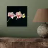 Orchidee - Bloemen - Zwart - Roze - Knoppen aluminium wit klein -sfeer2
