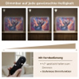 Koala - Dier - Zonnebril - Wolken Light Box met batterij (Wandlamp) middel -USP_dimbaarDE