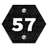 Zwart krokodillenleertextuur - Traditioneel Naambord Hexagon klein -3d
