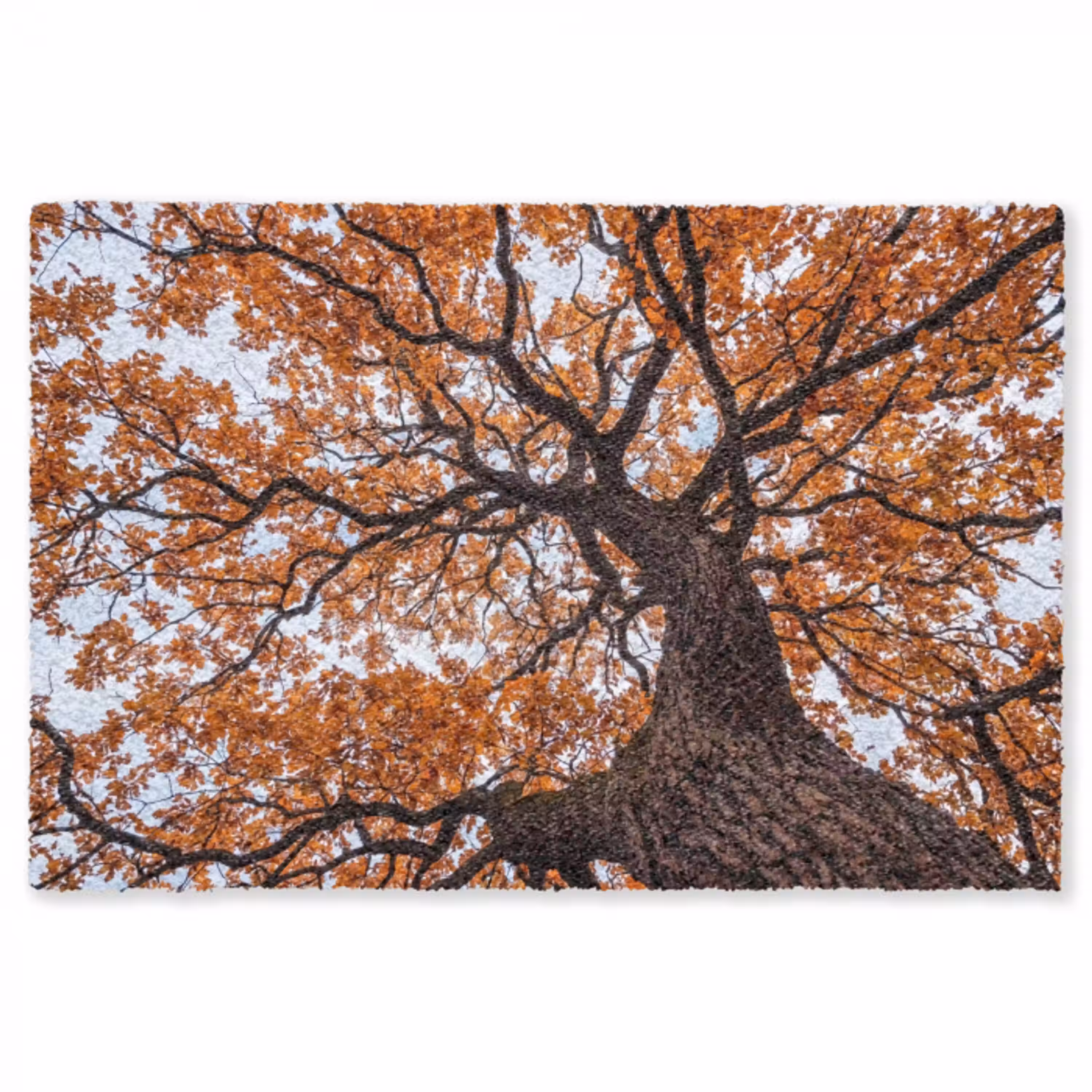 Boom - Bladerdak - Herfst - Oranje - Sfeervol Vloerkleed Rechthoek klein -3d