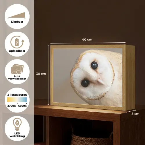 Uil - Bruin - Wit Light Box met batterij (Wandlamp) middel -USP_websiteoverzichtNL