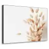 Pampasgras - Pluim - Wit - Beige Textielframe zwart klein -3d