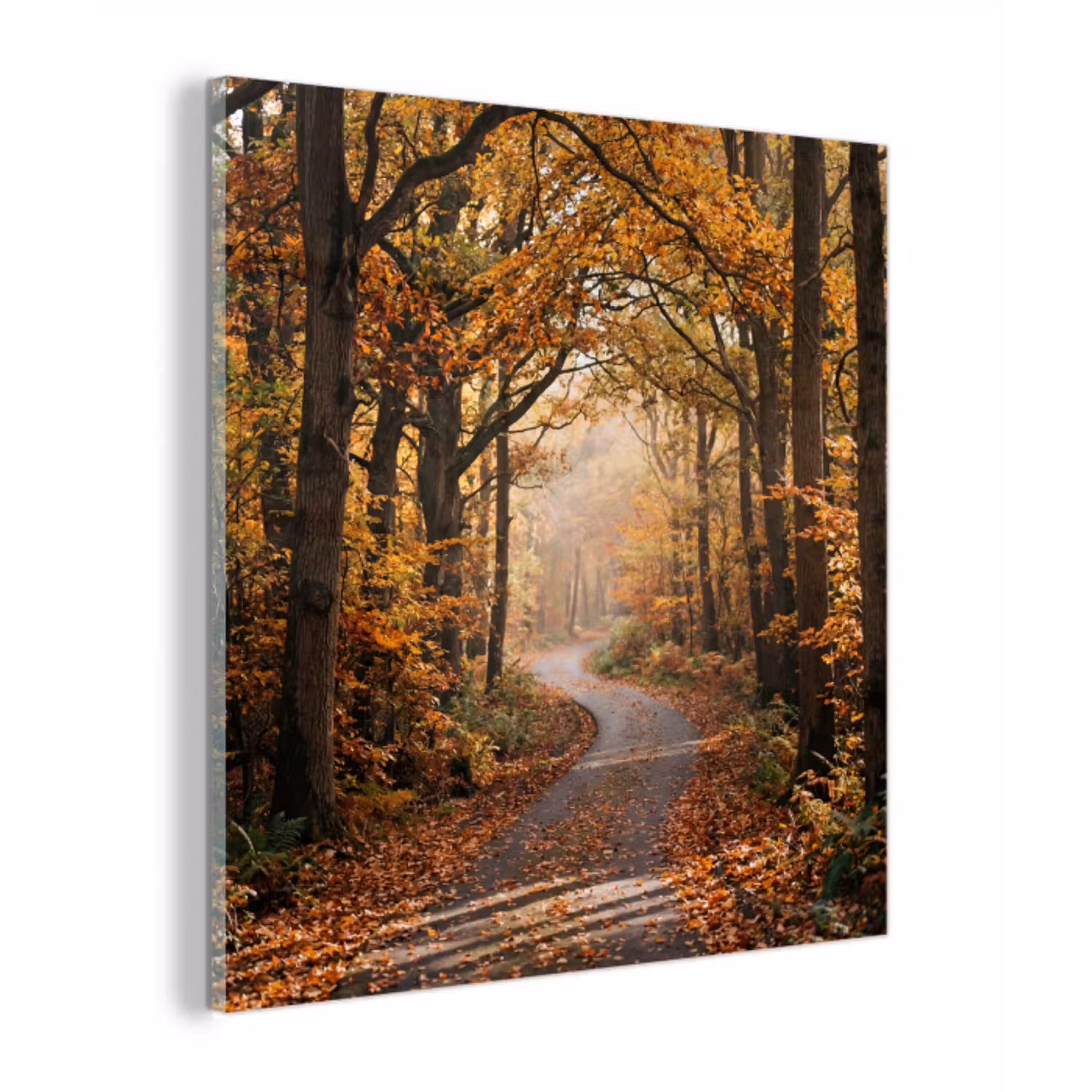 Bospad - Herfstbos - Bladeren - Oranje - Nostalgisch plexiglas 5mm klein -z3d