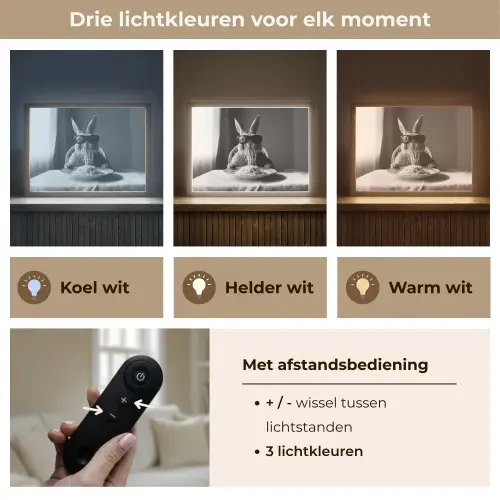Konijn - Bunny - Zonnebril - Tafelkleed - Pasta - Schattig Light Box met batterij (Wandlamp) middel -USP_lichtkleurNL
