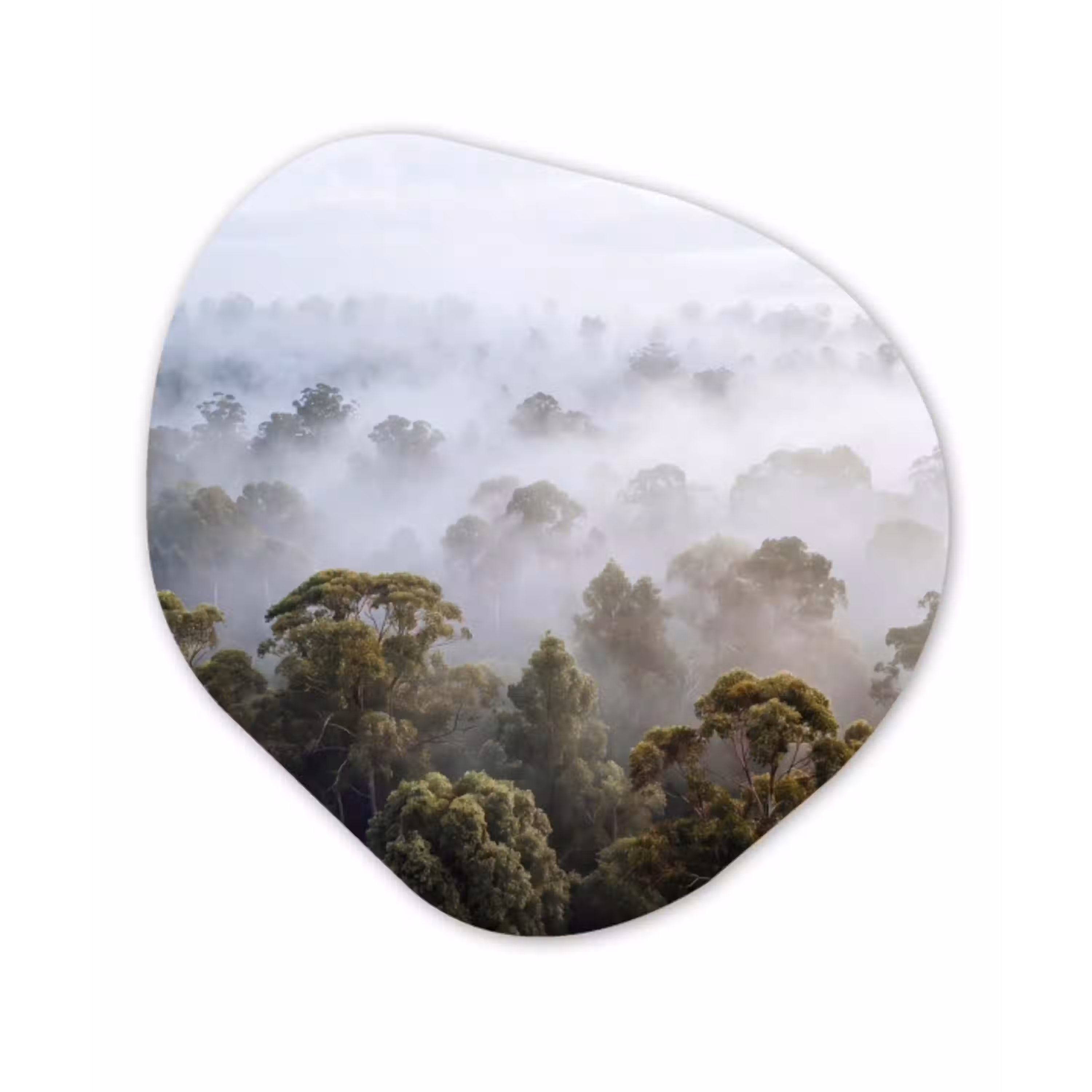 Natuur - Mist - Bos - Ochtend - Goud Wandcirkel Organisch Aluminium middel -3d