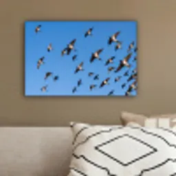 Zwaluwen - Vliegen - Blauw canvas 2cm klein -sfeer3