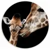 Giraffe - Dieren - Zwart - Portret - Dieren Wandcirkel kunststof plaat 5mm dik klein -3d