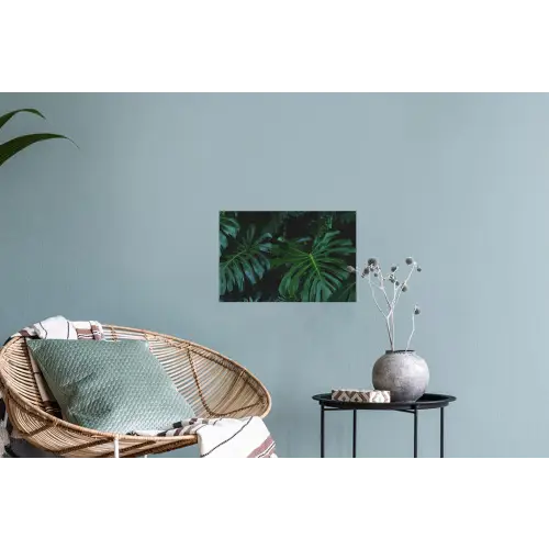 Monstera - Bladeren - Tropisch - Jungle Muursticker klein -plant