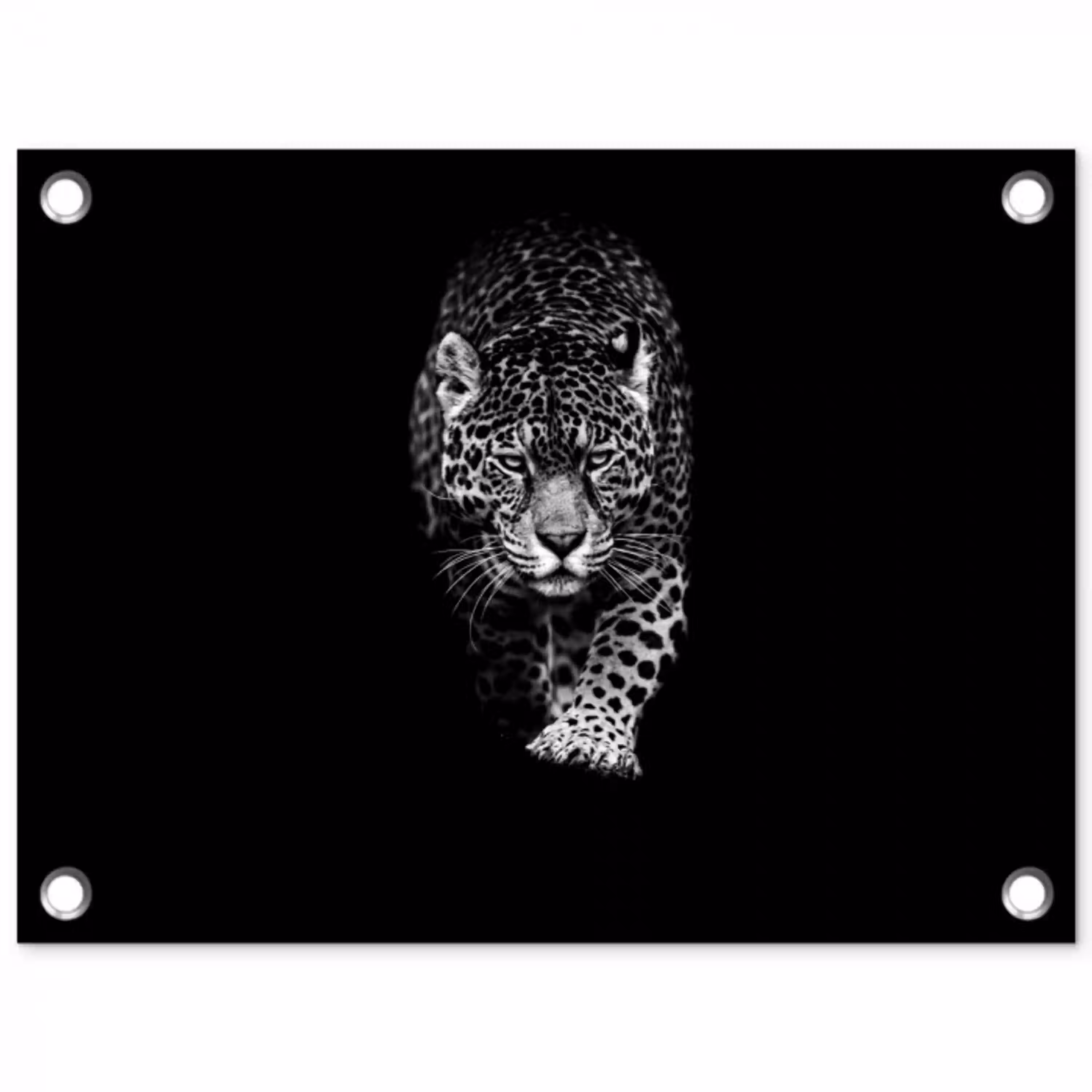 Dieren - Zwart - Luipaard - Wit - Wild tuinposter los doek klein -3d