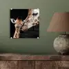 Giraffe - Dieren - Zwart - Portret - Dieren plexiglas 5mm klein -sfeer3