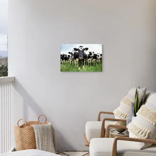 Nieuwsgierige koeien Tuinposter op houten frame 2 cm dik klein -sfeer1