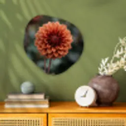 Dahlia - Bloem - Natuur - Sfeervol Wandcirkel Organisch Forex 3mm klein -sfeer2