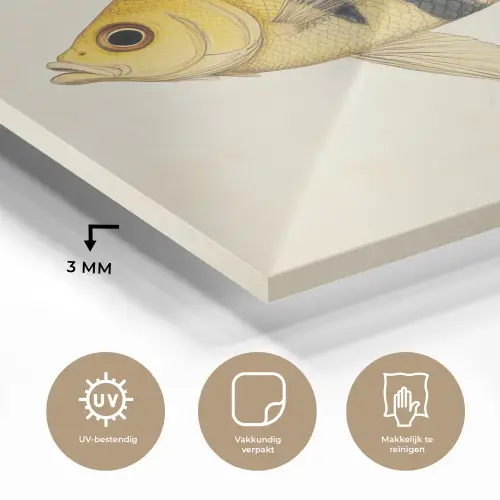 Geel - Vis - Strepen - Tropisch plexiglas 5mm klein -sfeer2