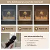 Leeuw - Geschilderd - Abstract - Goud Light Box met batterij (Wandlamp) middel -USP_lichtkleurNL