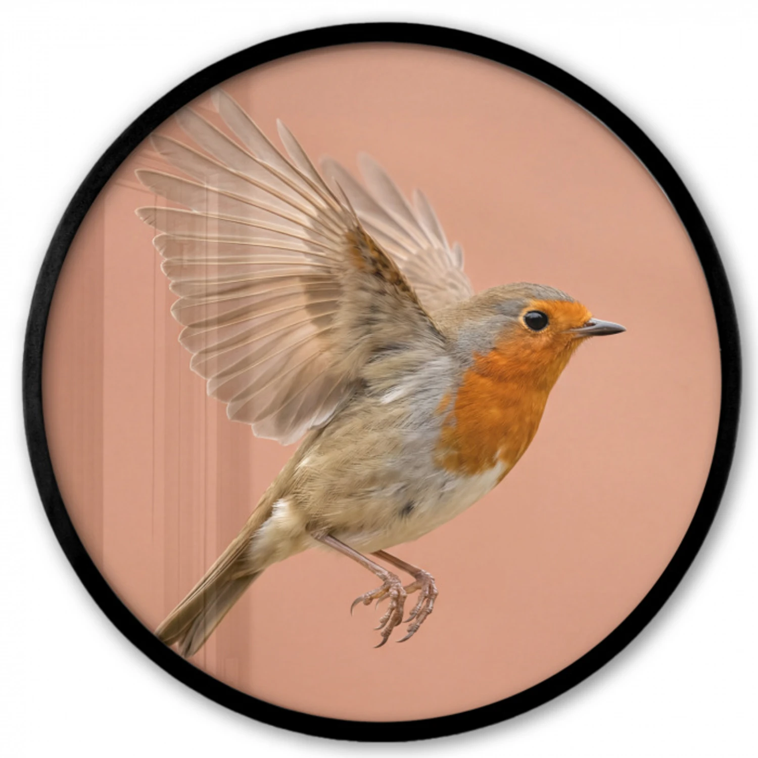 Roodborst - Natuur - Roze Fotolijst rond zonder passe partout klein -3d