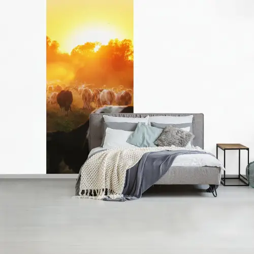 Koeien - Zonsondergang - Weiland - Dieren fotobehang vinyl groot -slaapkamer